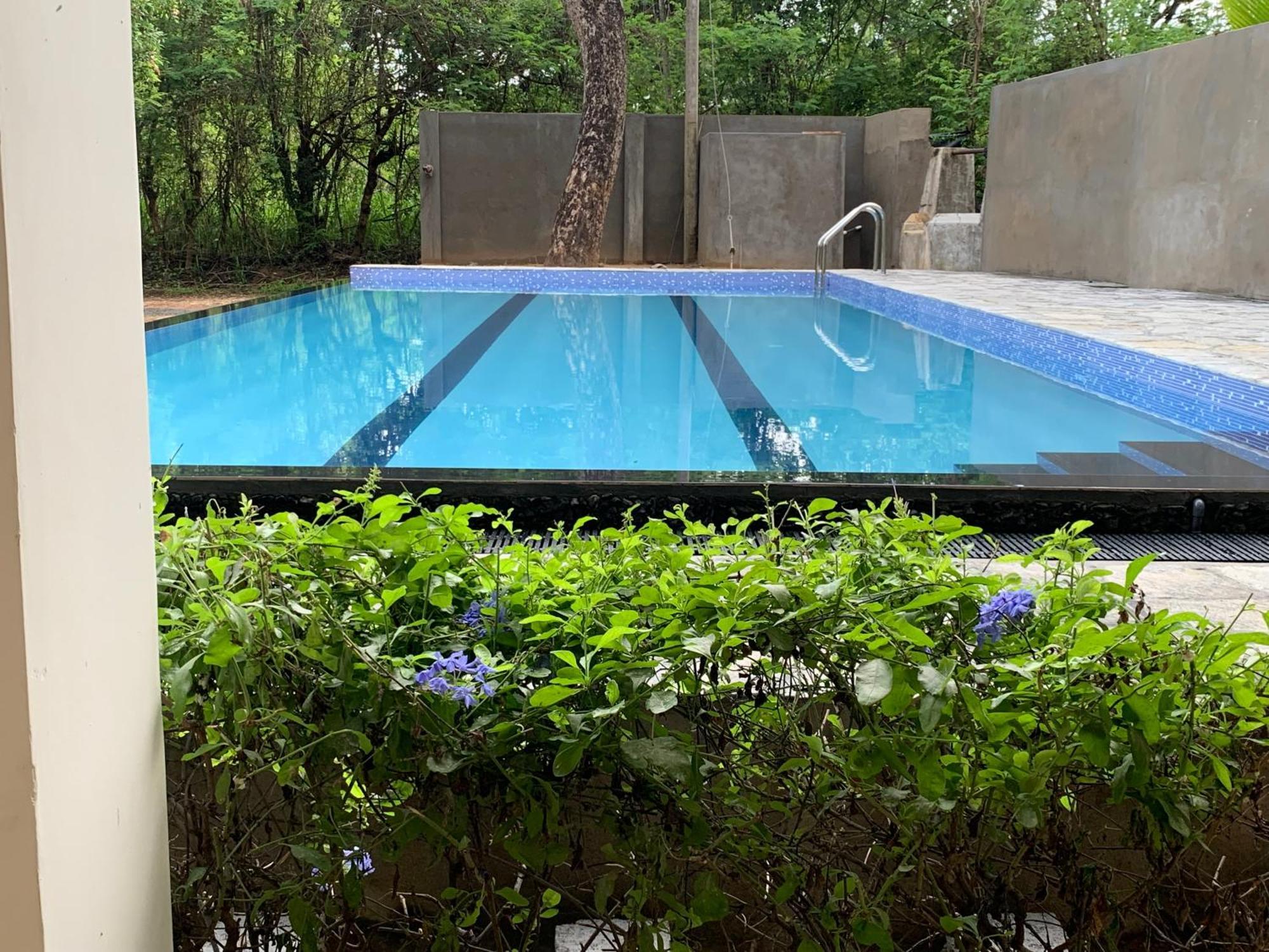 Sigiriya Rock Hide Hotell Eksteriør bilde