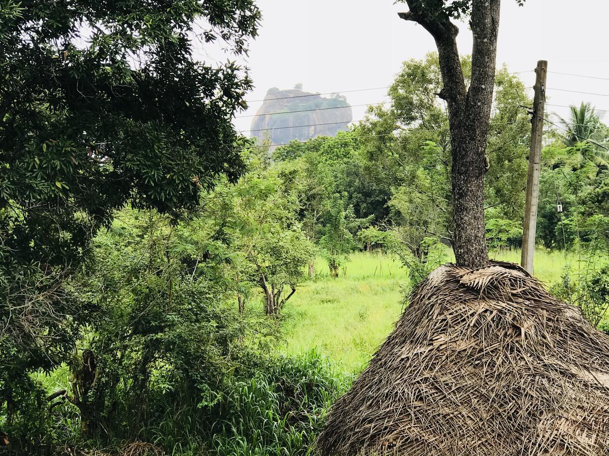 Sigiriya Rock Hide Hotell Eksteriør bilde