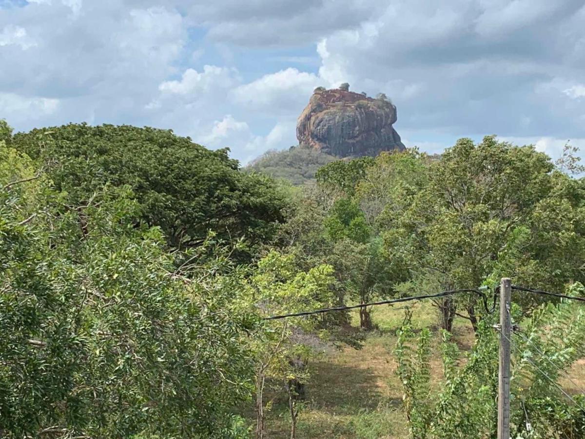 Sigiriya Rock Hide Hotell Eksteriør bilde