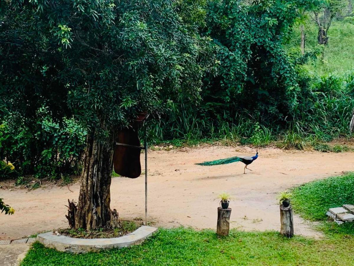 Sigiriya Rock Hide Hotell Eksteriør bilde