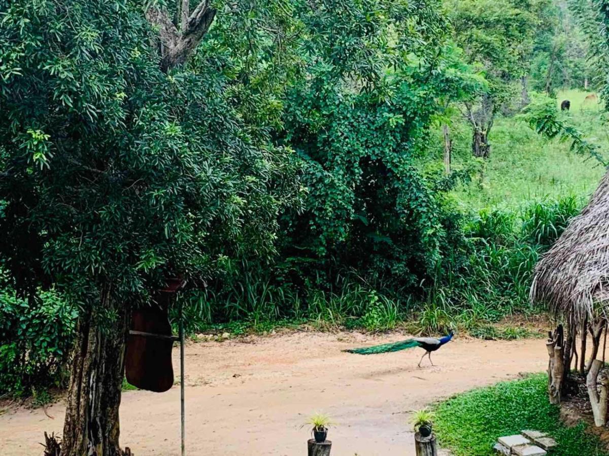 Sigiriya Rock Hide Hotell Eksteriør bilde